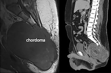 Figure 1 graphic